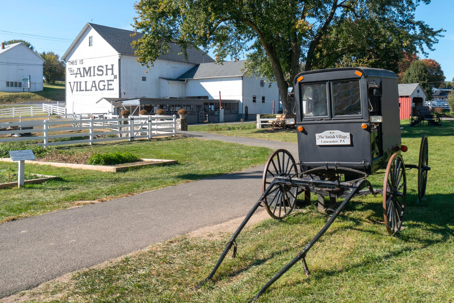Lancaster. Amish