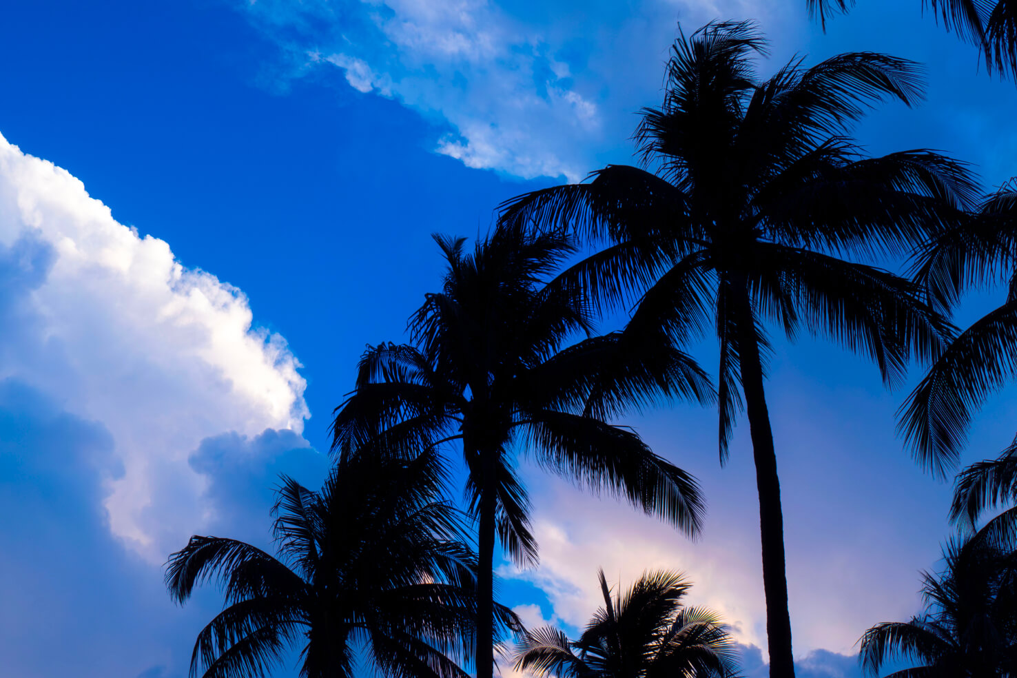 Miami